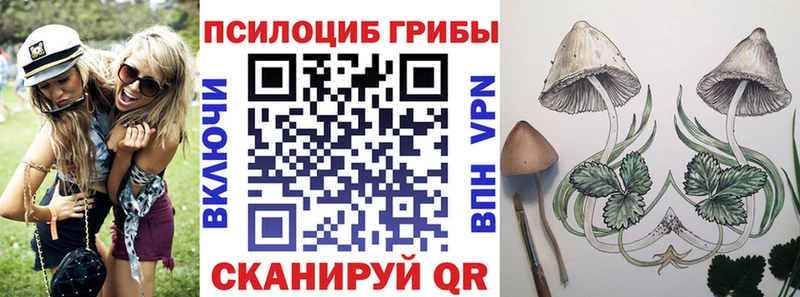 Псилоцибиновые грибы Psilocybe  Котельники 
