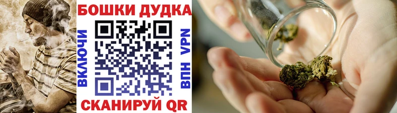 Бошки марихуана Ganja  где купить наркоту  Котельники 